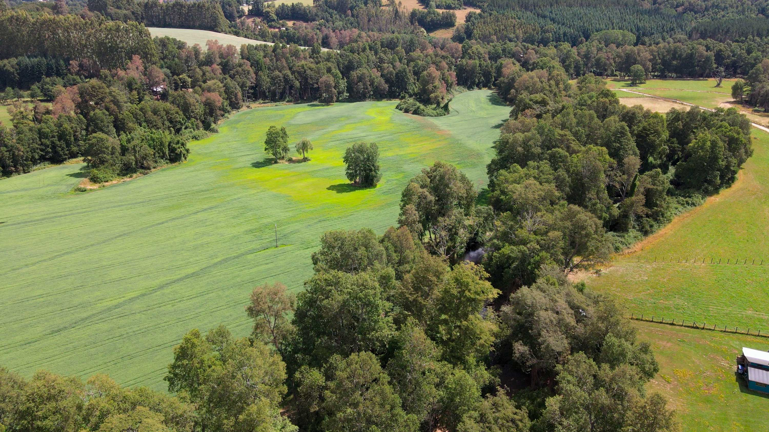 Terrenos disponibles